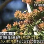 「約30年後に花粉量半減を」政府が花粉症対策を取りまとめ(2023年5月30日)