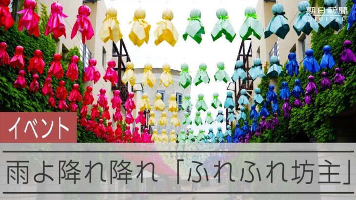 星野リゾートに映える「ふれふれ坊主」登場　観光地が雨を欲しがる理由は？