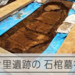 吉野ケ里遺跡で発見された石棺、中から赤い顔料　「クニ」のリーダーの墓か