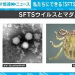 「“インフルで40℃”よりきつい…」どう防ぐ?マダニ媒介感染症｜社会部 栗原伸洋記者②タイトルの後ろに(2023年6月26日)