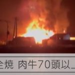 北海道の牛舎で火事　70頭以上焼け死ぬ