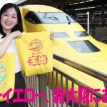 ドクターイエロー、新大阪にあらわる