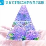 「まるで本物」季節感たっぷり紫陽花が…　樹脂から生まれる「レジンアート」(2023年6月28日)