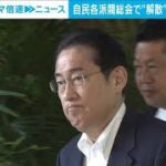 自民各派閥総会で“解散”巡る発言相次ぐ(2023年6月8日)