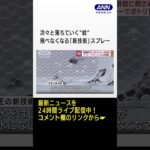 蚊に刺されない新技術　スプレーでポトリ「人には無害」　#shorts