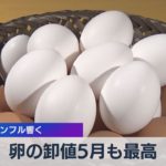 鳥インフル響く　卵の卸値５月も最高【WBS】（2023年5月31日）