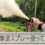 【体験】クマ撃退スプレーを使ってみた