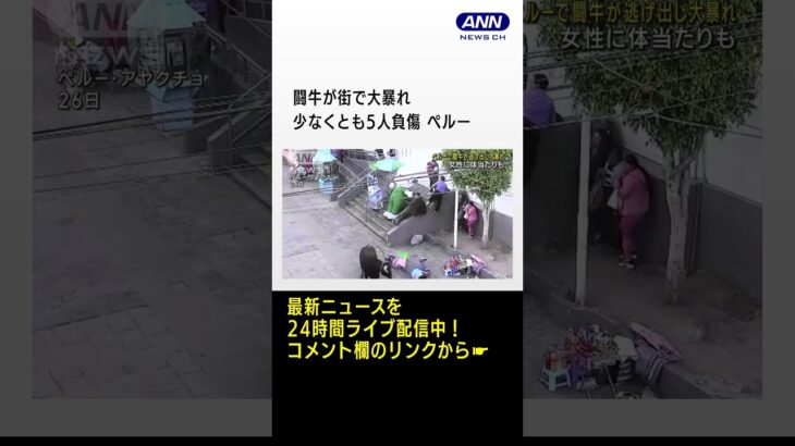 闘牛が街で大暴れ 少なくとも5人負傷　ペルー #shorts