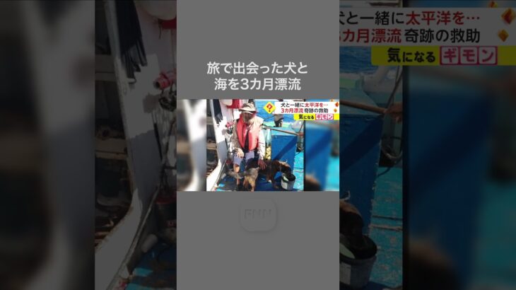 犬と一緒に太平洋を…　3カ月漂流 奇跡の救助 #shorts