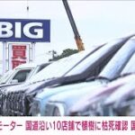 【速報】国道沿いビッグモーター10店舗前で植樹に枯死を確認　国土交通省(2023年7月28日)