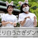 とっとり白うさぎダンサーズ　ウサギにゆかりの深い県をPR