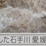 愛媛県内各地で雷伴う大雨　石手川増水などで54万人に避難指示