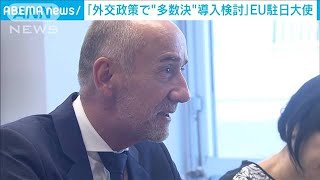 EU意思決定、加盟国“全会一致”見直しも　駐日大使インタビュー(2023年7月9日)
