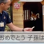 「立てるんです」の風太が20歳　子孫は78頭