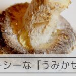 「うみかぜ椎茸」八丈島の新たな名産が人気　きっかけは趣味のクワガタ