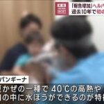 ヘルパンギーナ“猛威”　過去10年で初の「警報レベル」(2023年7月11日)