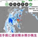 【速報】岩手県に線状降水帯が発生　顕著な大雨に関する情報を発表　気象庁(2023年8月12日)