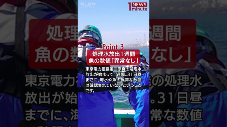 【2023年8月31日のNEWS 1 minute】 #shorts 詳細はコメント欄から