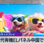 ジャパンディスプレイ　次世代有機ELパネルを中国で公開【WBS】（2023年8月29日）