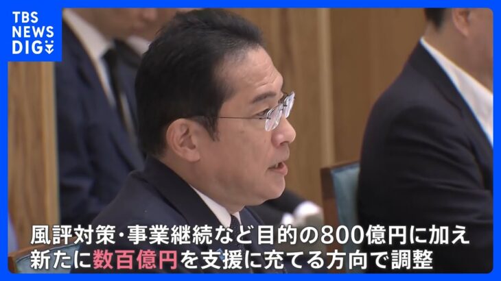 中国が日本の水産物 輸入全面停止で政府が漁業者支援　“新たに数百億円”で調整　あすにも岸田総理が表明へ｜TBS NEWS DIG