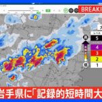 【速報】岩手県に「記録的短時間大雨情報」　一関市西部付近で約110ミリの猛烈な雨｜TBS NEWS DIG