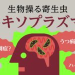 【マンガ動画】トキソプラズマ