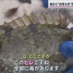 海水温上昇で急増「海の厄介者」を活用せよ！海底で爆食被害“毒針の魚”を高級料理に(2023年9月18日)