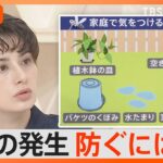 秋に「蚊」大量発生か…“足裏の除菌”が効果的？刺されにくくするハウツーまとめ【Nスタ解説】｜TBS NEWS DIG