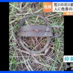 「絶対に許せない！」東京の荒川・河川敷で狩猟用の“罠”「トラバサミ」発見時にはネコが挟まれ…｜TBS NEWS DIG