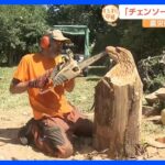 木を豪快に彫って作品に…「チェンソーアート」の達人がスゴ技を生披露！繊細な部分まで表現して出来た作品は？【すたすた中継】｜TBS NEWS DIG