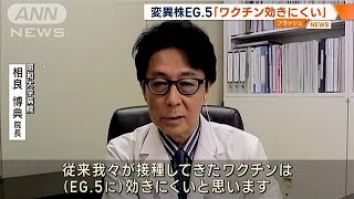 新型コロナ5類移行後 新変異株急増で患者数最多に 都内の病院「まだ増えていく」(2023年9月11日)