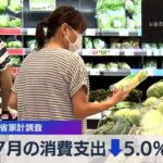 7月の消費支出↓5.0％　総務省家計調査【WBS】（2023年9月5日）