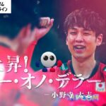【小野寺太志、髙橋健太郎、宮浦健人、井上愛里沙、福留慧美】W杯バレー選手の魅力1分紹介
