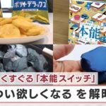 消費心をくすぐる「本能スイッチ」 つい欲しくなるを解明【日経プラス９】（2023年10月13日）