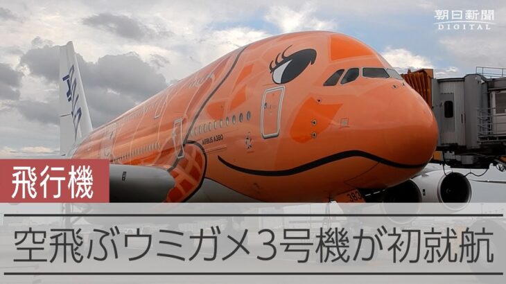 空飛ぶウミガメ３号機が初就航　ANAの「フライングホヌ」をファンがお祝い