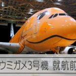 空飛ぶウミガメ3号機、10月の就航を前に初洗浄