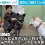虐待などで保護された犬救え！クラファンで施設作り一般家庭で飼えるようトレーニング(2023年10月19日)