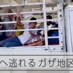 ガザ南部に避難する住民たち パレスチナ自治区