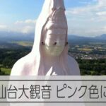 高さ100mの仙台大観音、修復でピンク色に染まる