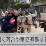 ガザ市内をロバが引く荷台や車で避難する人たち