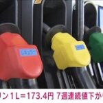 ガソリン1L＝173.4円　7週連続値下がり(2023年10月25日)