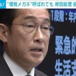 “増税メガネ”批判「どんな呼ばれ方しようとも…」 岸田総理が経済対策を強調(2023年11月2日)