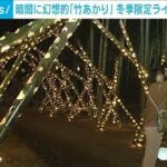 暗闇に浮かび上がる幻想の竹林　宇都宮・若山農場で冬季限定のライトアップ(2023年11月18日)