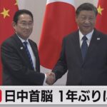 日中首脳 1年ぶりに会談（2023年11月17日）