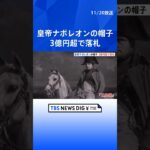 【3億円超】フランスの皇帝「ナポレオン」の帽子　オークションにかけられ3億円超で落札 | TBS NEWS DIG #shorts