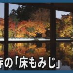 彩りあざやか「床もみじ」　群馬・桐生の宝徳寺
