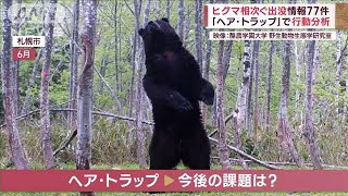 出没情報77件…ヒグマ相次ぐ　「ヘア・トラップ」で行動分析(2023年11月10日)