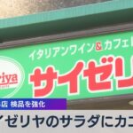 サイゼリヤのサラダにカエル 関東の3店 検品を強化【WBS】（2023年11月3日）