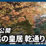 紅葉の皇居、乾通り公開　１２月３日まで９日間