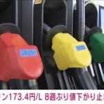 【速報】ガソリン価格 173.4円/1リットル 前週と比べ横ばい　8週ぶりに値下がり止まる(2023年11月1日)